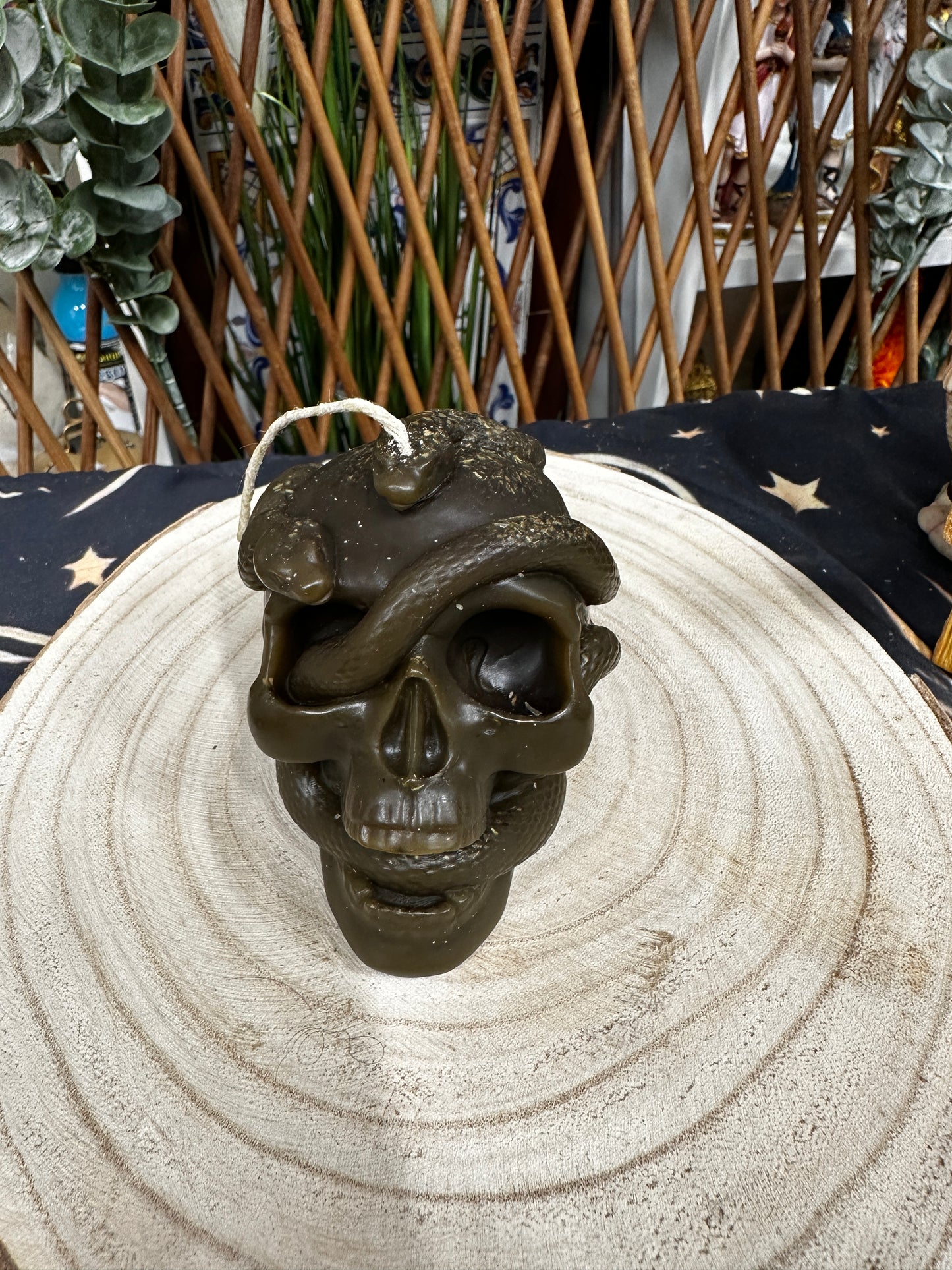 Velón calavera serpiente Tumba trabajos